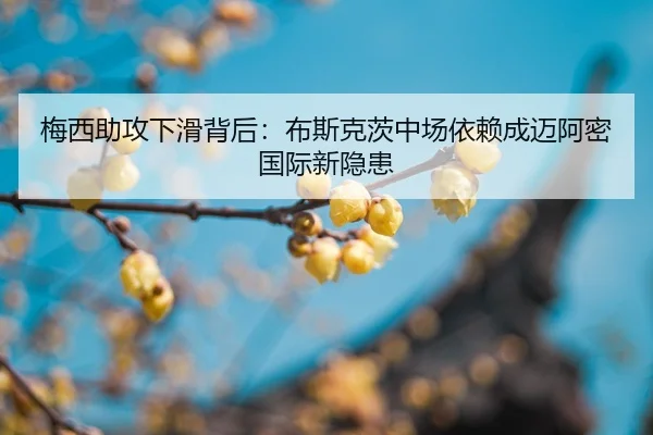 mei-xi-zhu-gong-xia-hua-bei-hou-bu-si-ke-ci-zhong-chang-yi-lai-cheng-mai-a-mi-guo-ji-xin-yin-huan-2-390.jpg