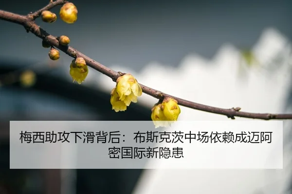 mei-xi-zhu-gong-xia-hua-bei-hou-bu-si-ke-ci-zhong-chang-yi-lai-cheng-mai-a-mi-guo-ji-xin-yin-huan-3-710.jpg