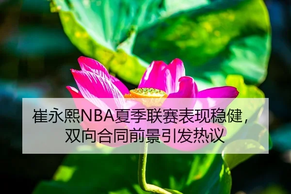崔永熙NBA夏季联赛表现稳健，双向合同前景引发热议