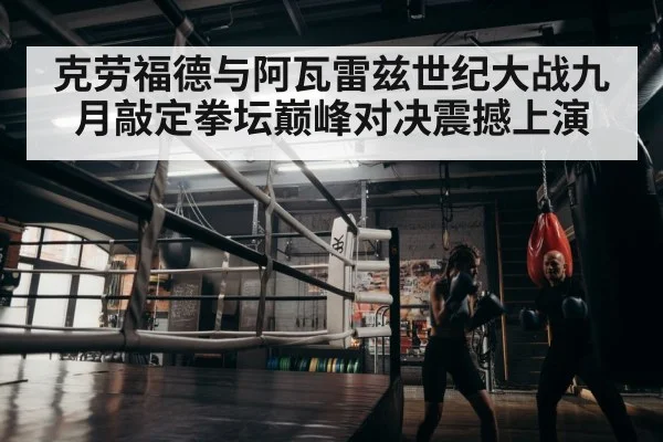 boxer training